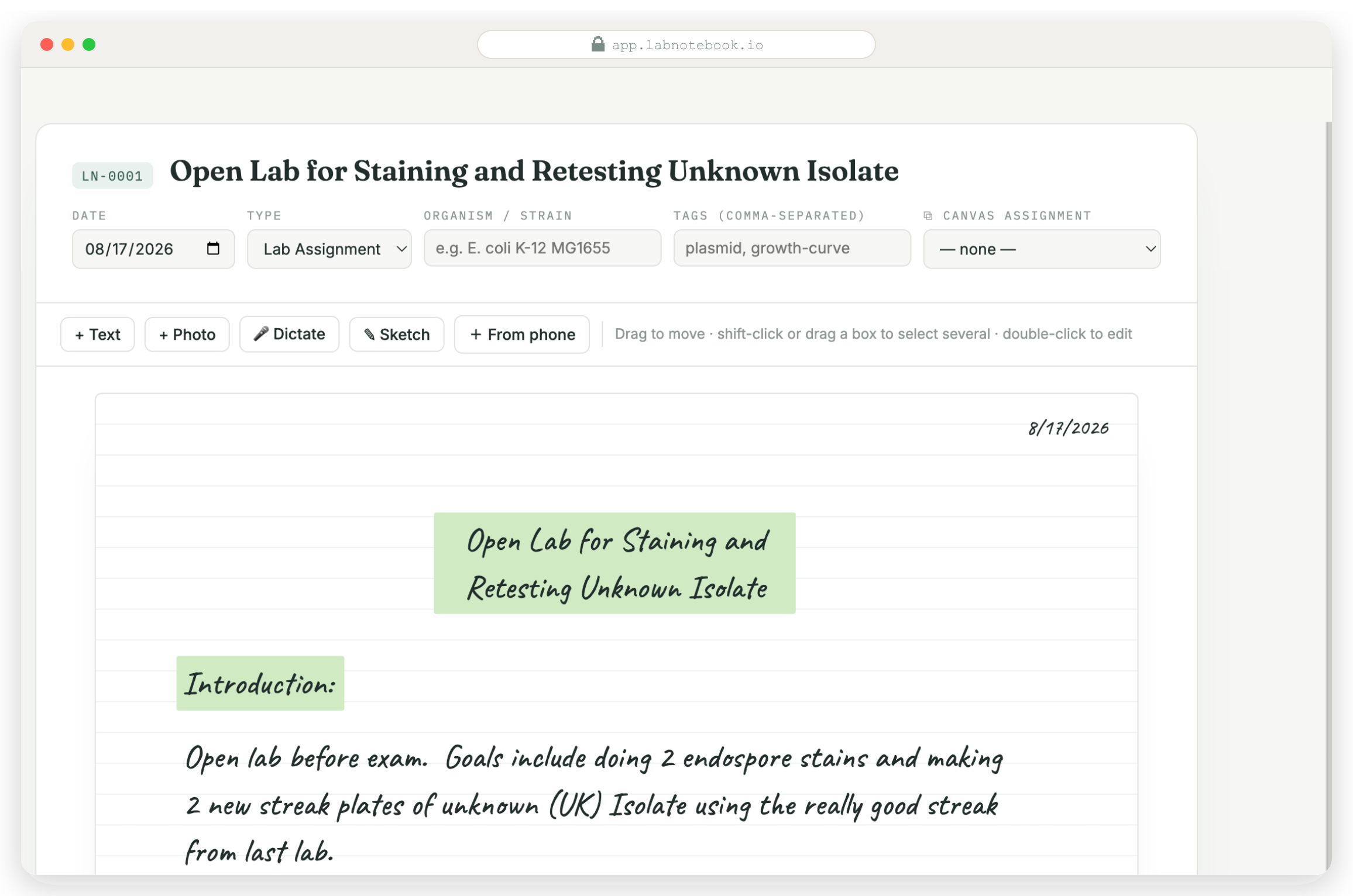 A finished Lab Notebook microbiology entry — highlighted title, handwriting, and endospore micrographs on a ruled page